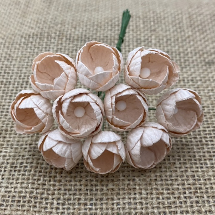 50 PALE PEACH MULBERRY PAPER BUTTERCUPS - Click Image to Close